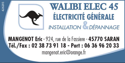 WALIBI ELEC45